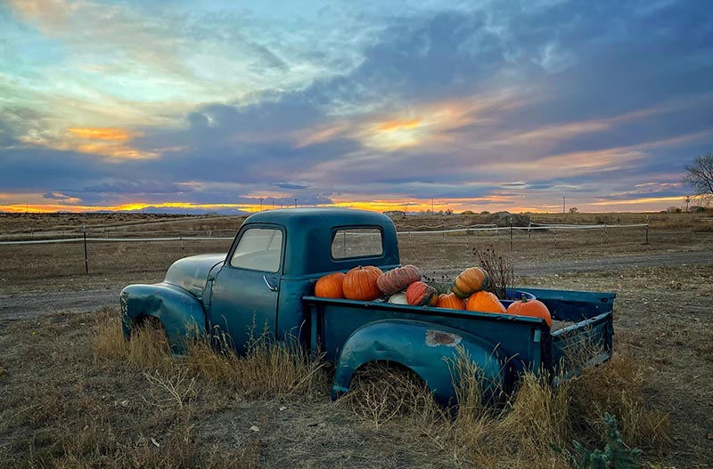 NOT JUST NEGATIVES - ALL YOUR LEGACY MEDIA